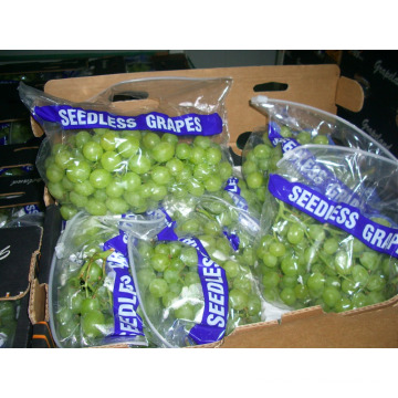seedless grape